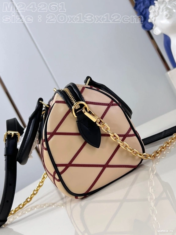 WIS VUITTON BANDOULIÈRE SPEEDY 20 LOUIS 0307